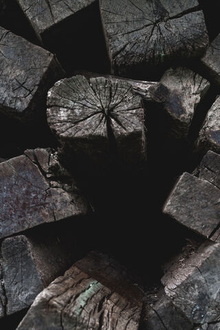 Nature's Mosaic: The Beauty of Wood