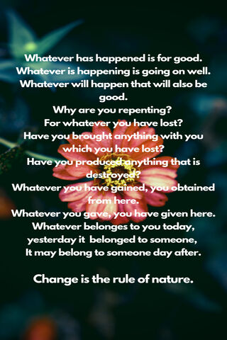 Embracing Change: The Wisdom of Nature 🌱✨