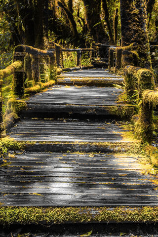 Wooden Stairs