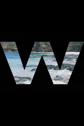 Waves of Wonder 🌊