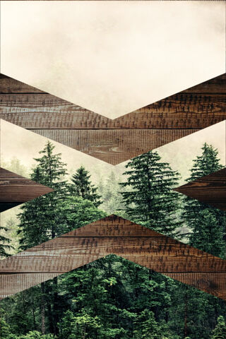 Nature's Architectural Harmony 🌲🏗️