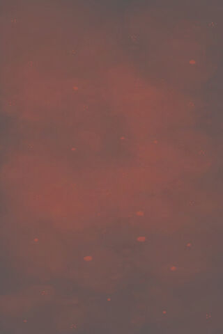 Wild Red