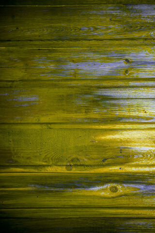 Golden Glow of Nature 🌳✨