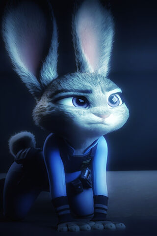 Brave Bunny in the Spotlight 🌟