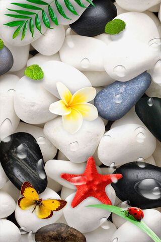 Zen Stones