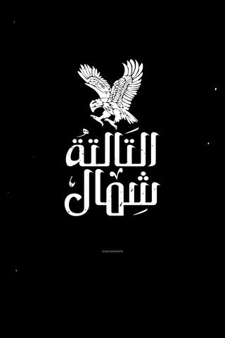 The Majestic Eagle of Alahly Eltaltashemal 🦅