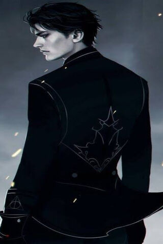 The Enigmatic Black Bird 🖤