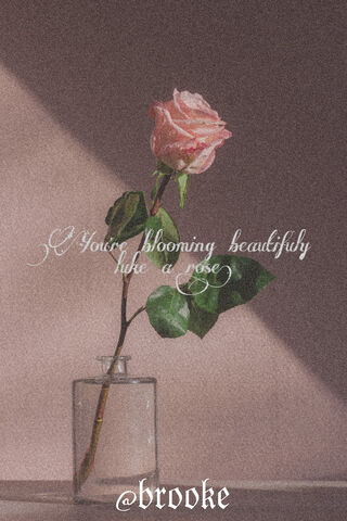 Blooming Beauty: A Tribute to K-Pop Elegance 🌹✨