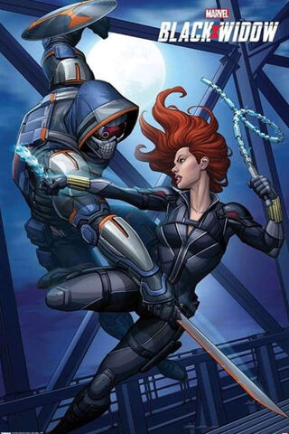 Shadow Duel: The Black Widow Strikes! 🕷️⚔️