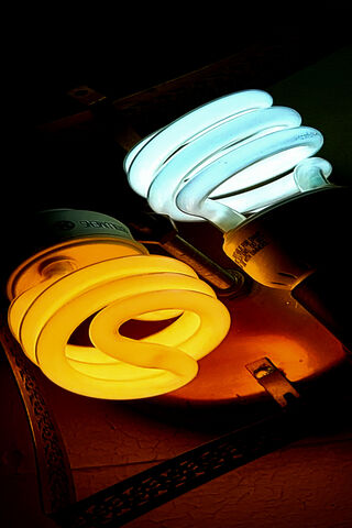 Illuminated Harmony: The Dance of Light