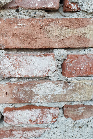 Timeless Texture: The Charm of Brick Walls