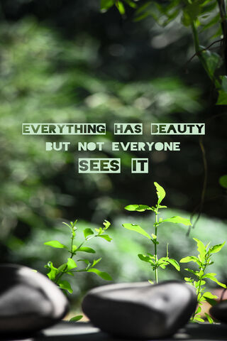 Hidden Wonders of Nature 🌿✨