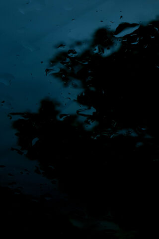 Whispers of the Rain