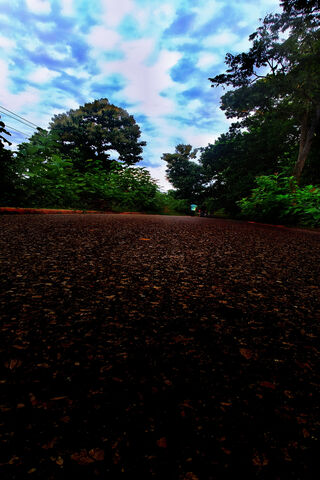 Mysteries of the Dark Road