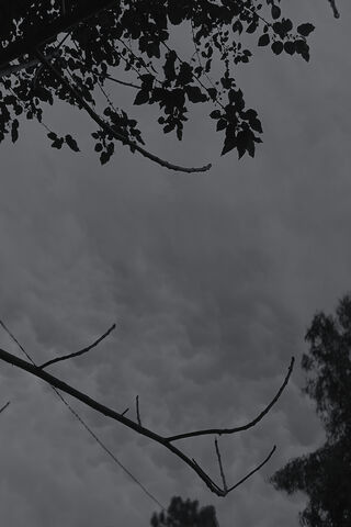 Whispers of the Storm 🌩️