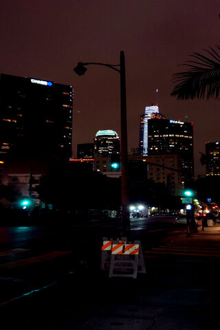 Night Lights of Downtown LA 🌆✨