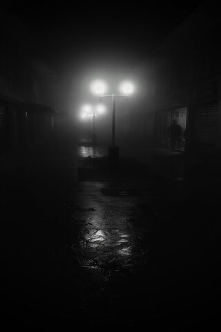 Shadows of Solitude 🌑