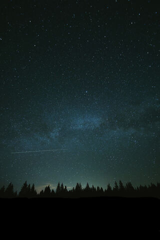 Celestial Wonders: A Night Under the Stars ✨🌌