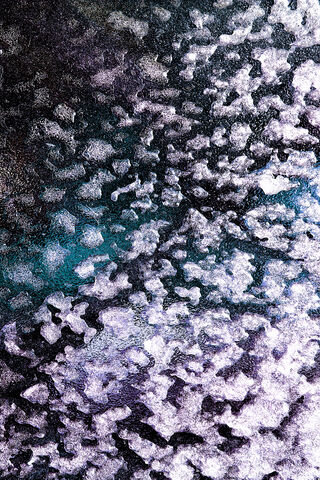 Whispers of Winter: The First Frost