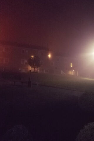 Enigmatic Night in the Mist 🌫️✨