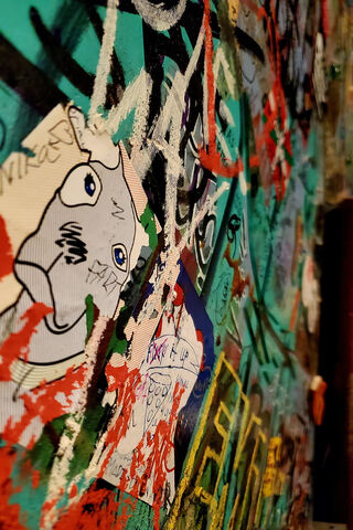 Urban Expressions: The Art of Graffiti 🎨✨