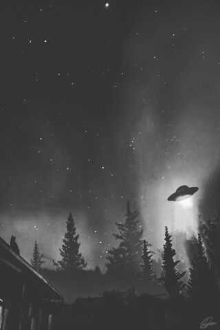 Mysteries of the Night 🌌✨