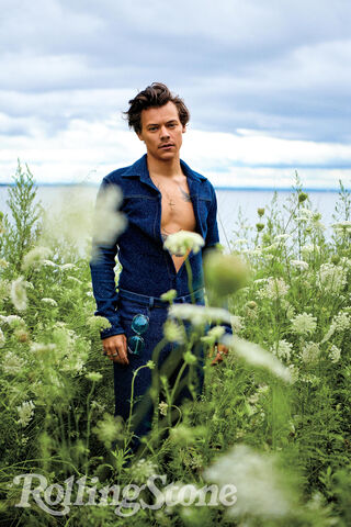Harry Styles: Nature's Muse 🌿✨