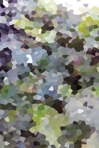 Nature's Mosaic: Ivy Unveiled 🌿✨