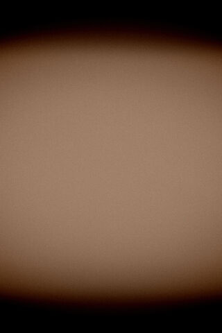 The Elegance of Leather