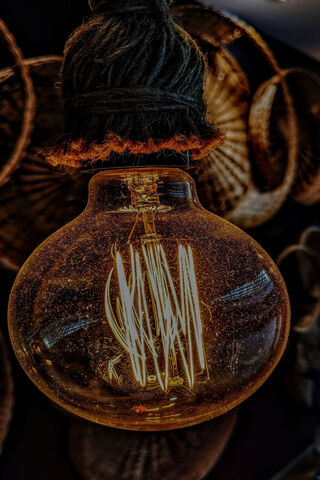 Illuminating Elegance: The Vintage Light Bulb