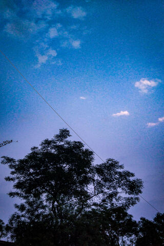 Whispers of the Midnight Village 🌌🌙