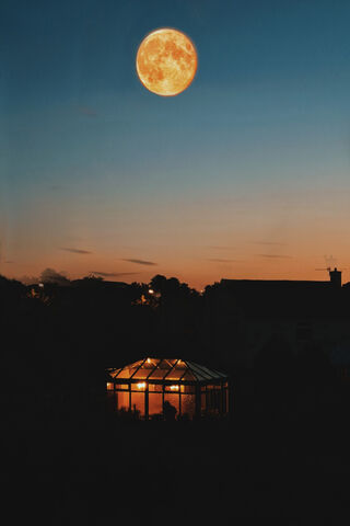 Luminous Serenity: The Night Moon's Embrace 🌕✨