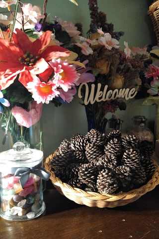 Embracing Nature's Warmth 🌼🌲