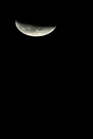 Whispers of the Night Sky 🌙✨