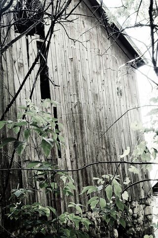 Old Barn