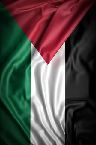 Palestine Flag