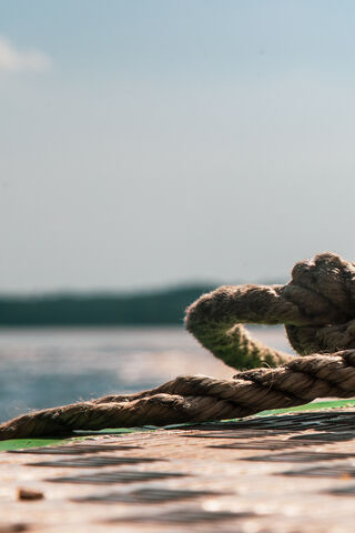 Tangled in Nature's Embrace 🌊🪢