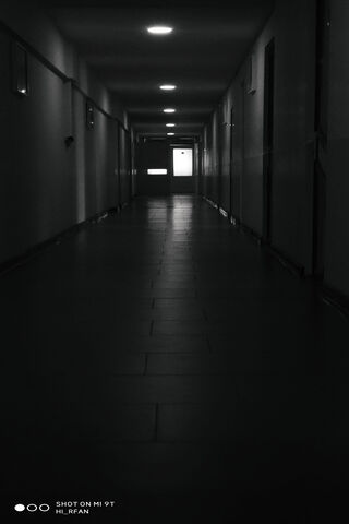 Echoes of Solitude: A Journey Through the Hallway