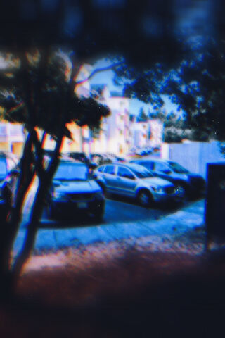 Whispers of Twilight