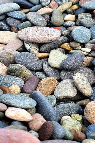 Nature's Colorful Mosaic: Sea Stones