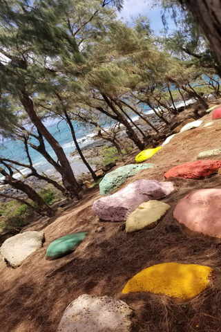 Colorful Serenity by the Shore 🌈🌊