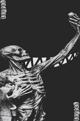 Echoes of the Undead: Trashgang's Haunting Artistry 🖤💀