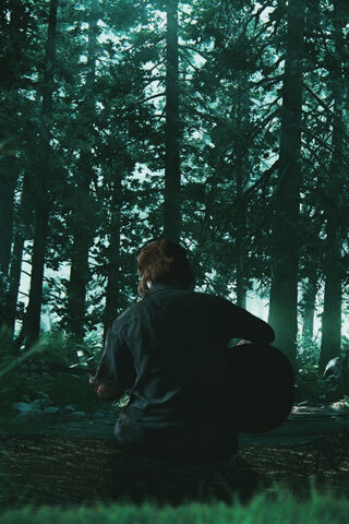 Melody in the Shadows: A Journey Through The Last of Us 2