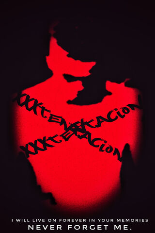 Eternal Echoes: A Tribute to Memories