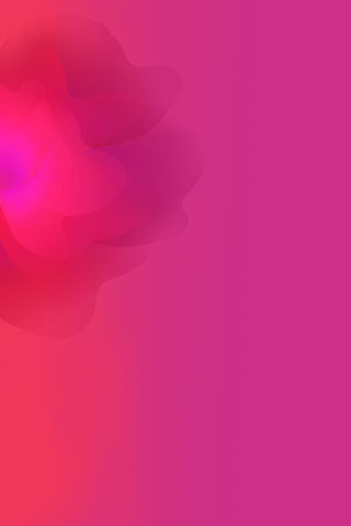 Blossom of Colors 🌸✨