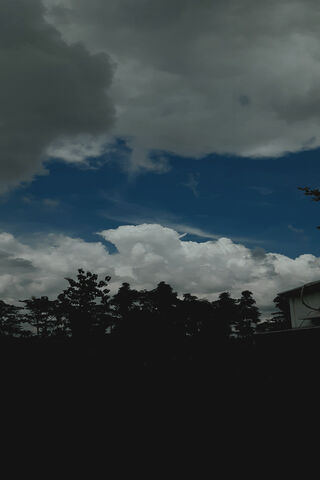 Amaze: Nature's Canvas