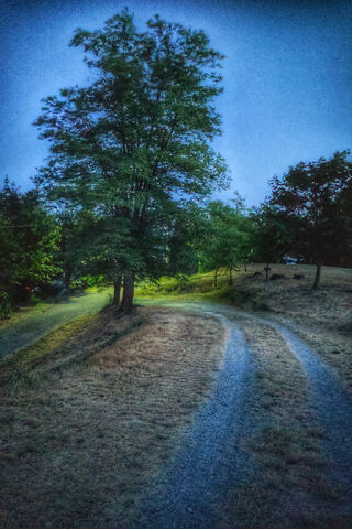 Twilight Serenity in Ponz 🌌🌳