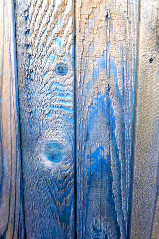 Ocean Breeze: The Allure of Blue Woody 🌊✨