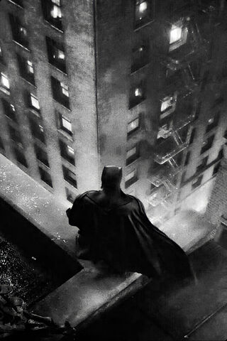 The Dark Knight's Vigil