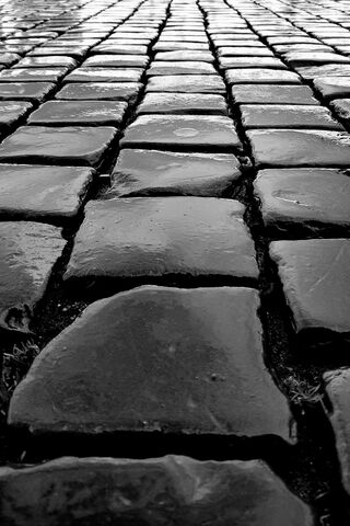 Glistening Pathways: The Allure of Black Bricks